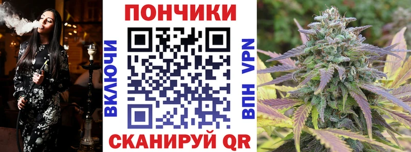 Бошки Шишки SATIVA & INDICA  Купить где  Ставрополь 